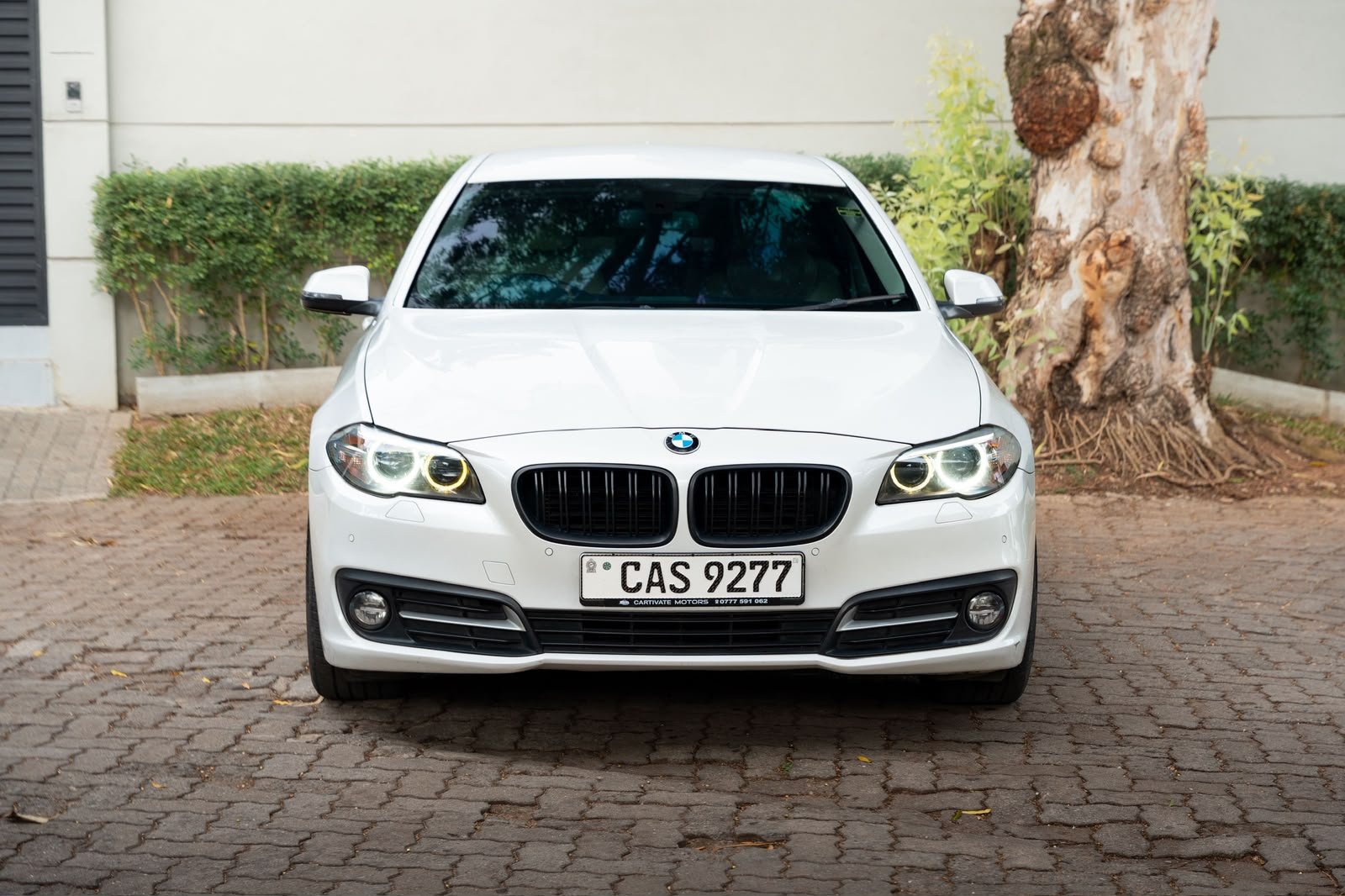 BMW 520d 3 Options 2015